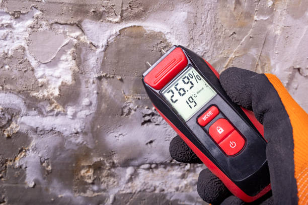 Cayucos, CA Mold Remediation Company