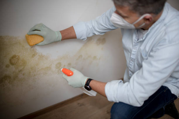 Best Crawl Space Mold Remediation in Yucos, CA